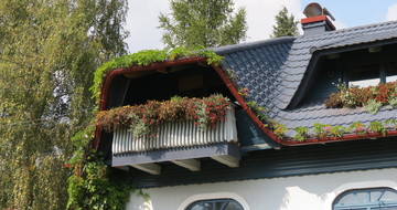 GERARD Classic Sapphire