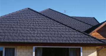 GERARD Senator Charcoal